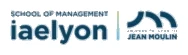 Iae univ lyon 3